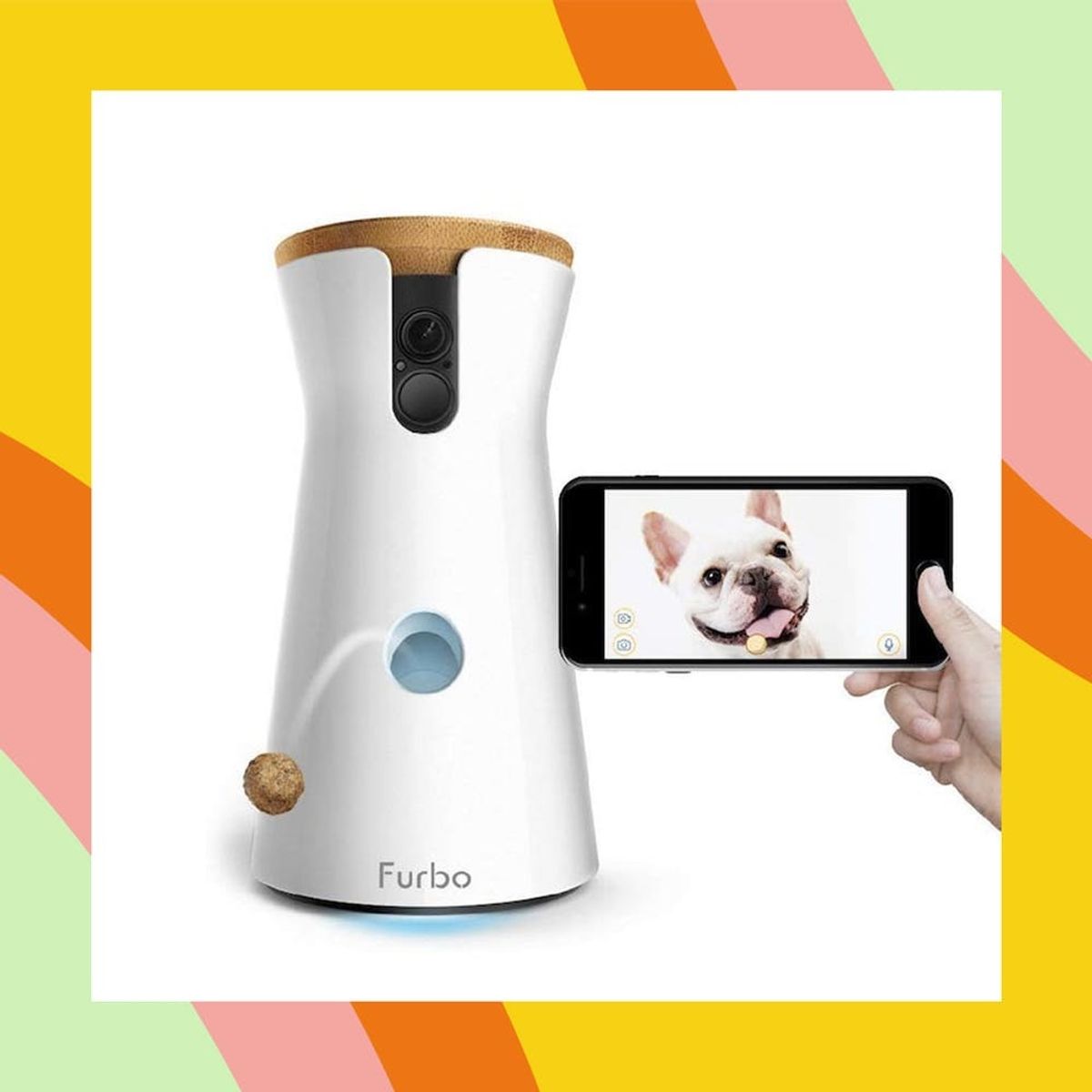 12 Innovative Products All Pet Owners Need