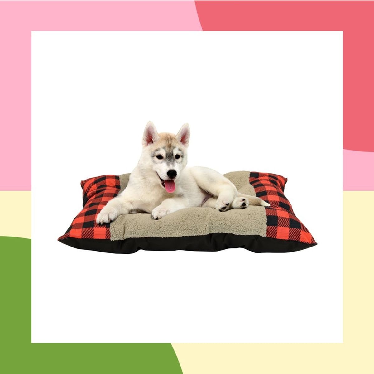 30 Pet Beds That Won’t Ruin Your Home Decor
