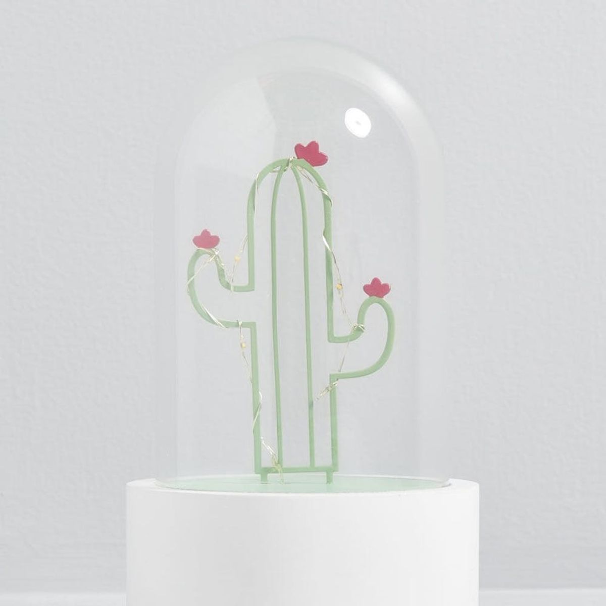 11 Sharp Gifts for People Who Can’t Get Enough Cacti