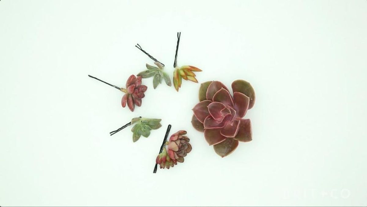 How to Make a Succulent Hairpin