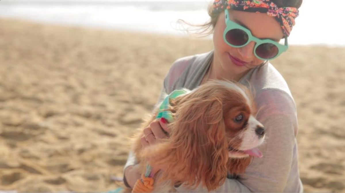 5 Must-Makes for a Doggie Day-cation