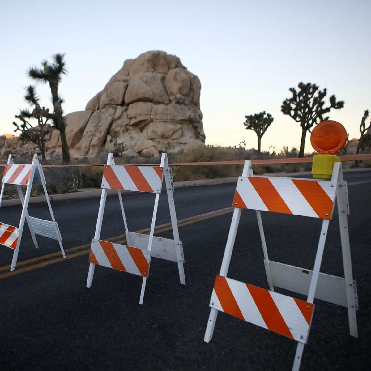 People Pooped All Over Joshua Tree National Park During the Shutdown