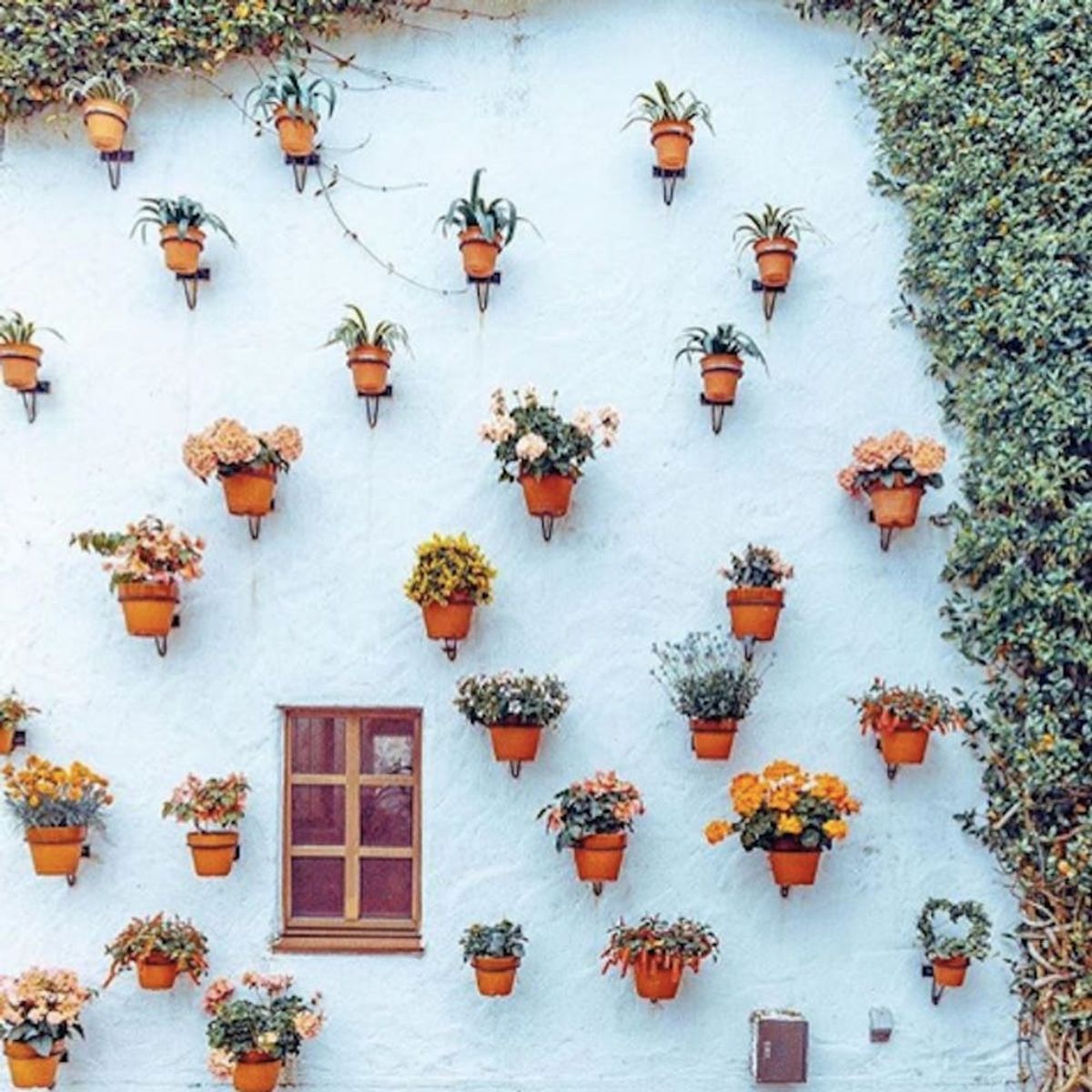 This #PlantLady-Approved Trend Is Taking Over Our Instagram Feeds