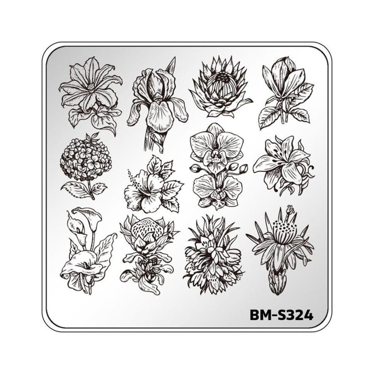 Reusable Stamping Plates Are the Secret Behind Those Unbelievably Intricate Nail Art Designs