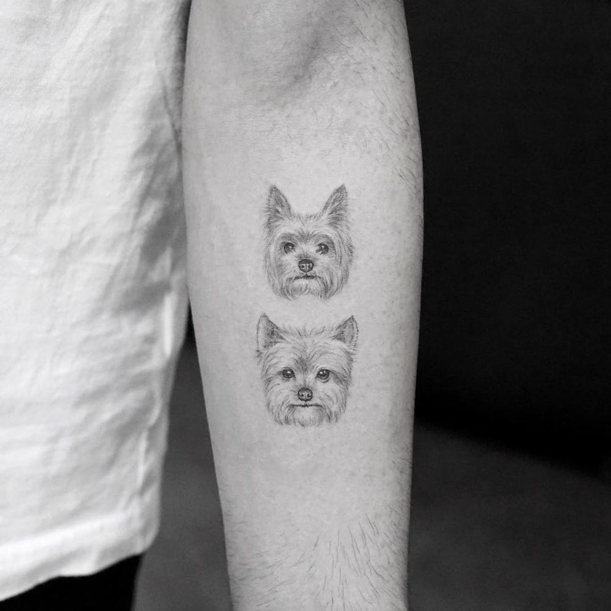 13 of the Cutest Animal Tattoos You Have to See