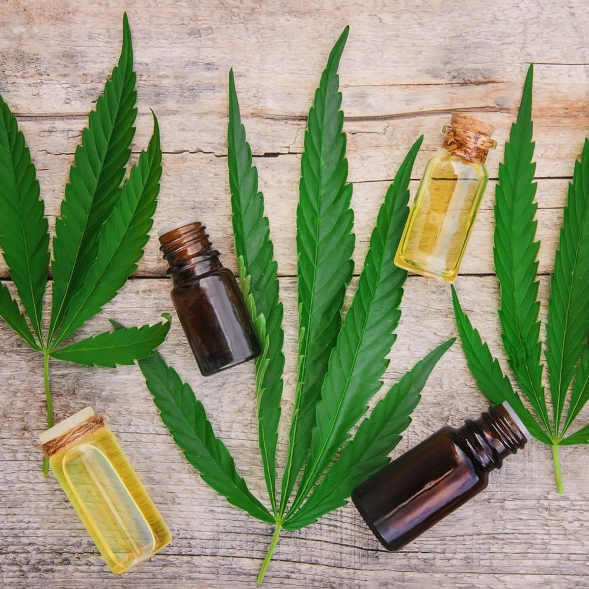 Everything You Need to Know About CBD, the Latest “It” Wellness Ingredient