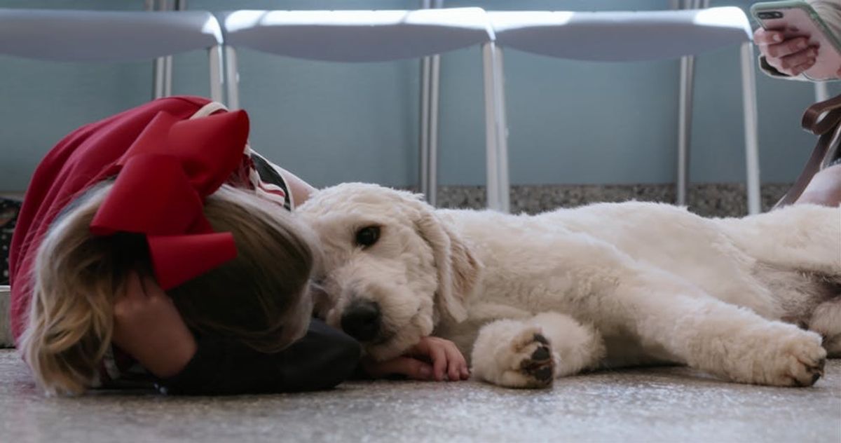 Netflix’s New Docuseries About Dogs Is the Feel-Good Show We Need Right Now