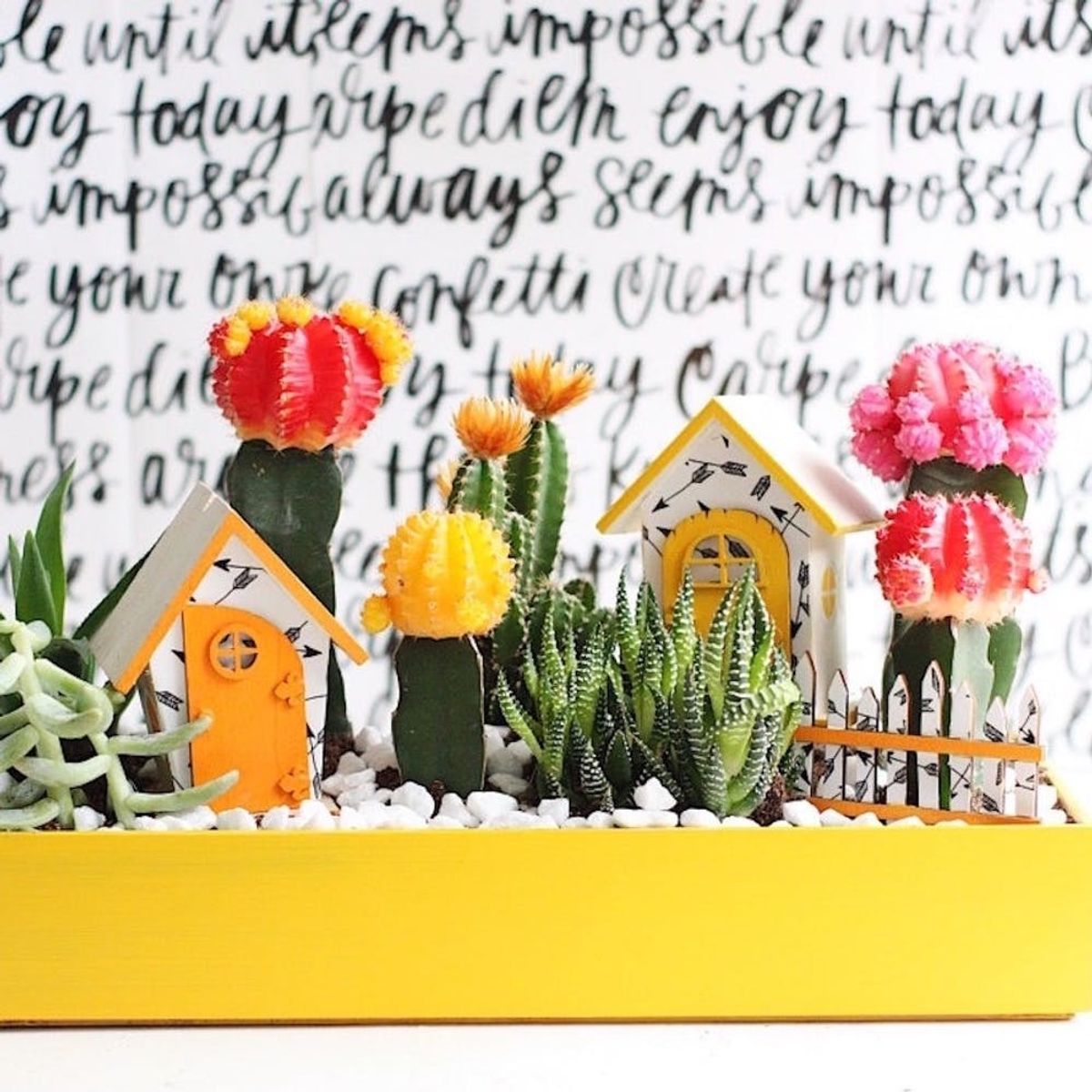 These Fairy Gardens Will Add Some Major Magic to Your Home
