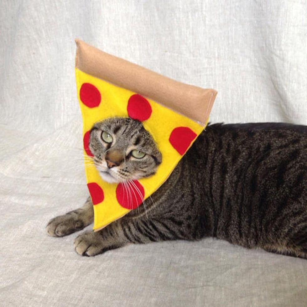12 Cat Costumes to Meow for This Halloween