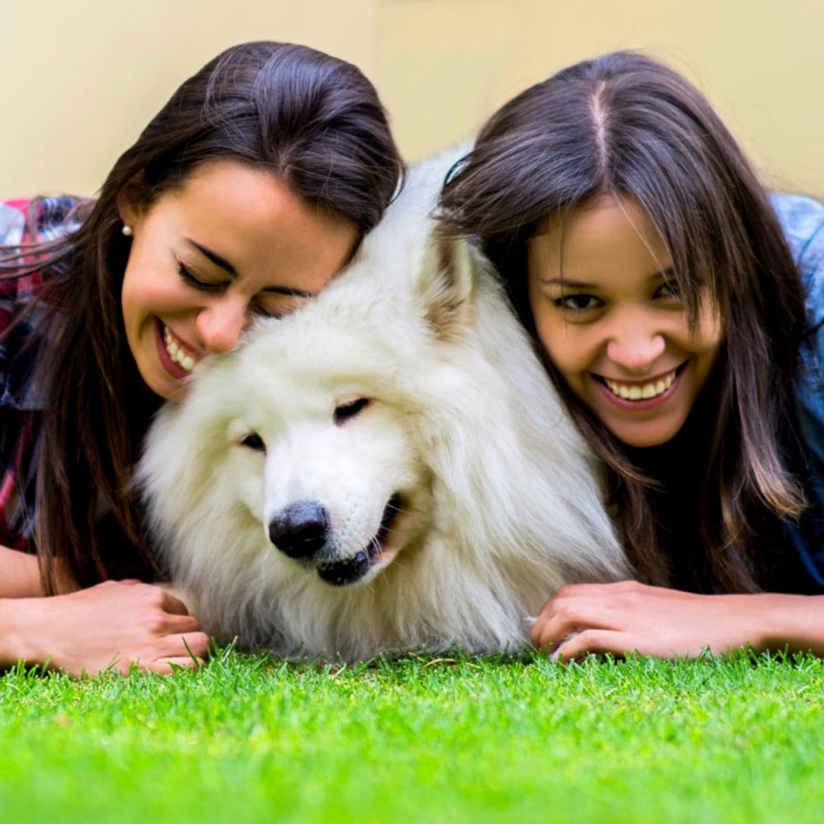 6 Signs You’re Not Quite Ready to Get a Pet With Your Significant Other