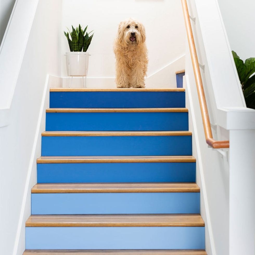 Take This Quiz to Find the Best Staircase Upgrade for Your Style