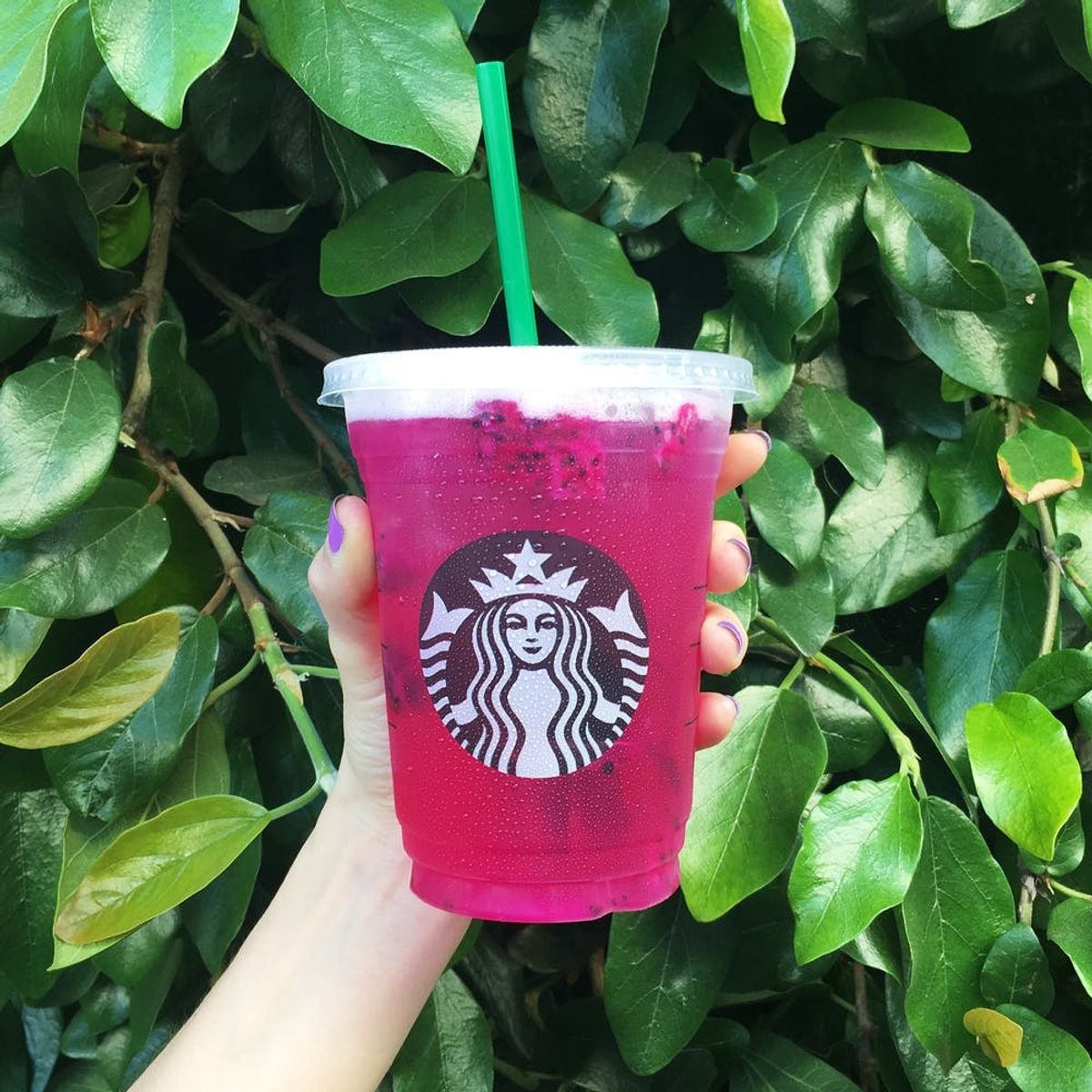 Starbucks’ Latest Refresher Will Make You Feel Like a Dragon