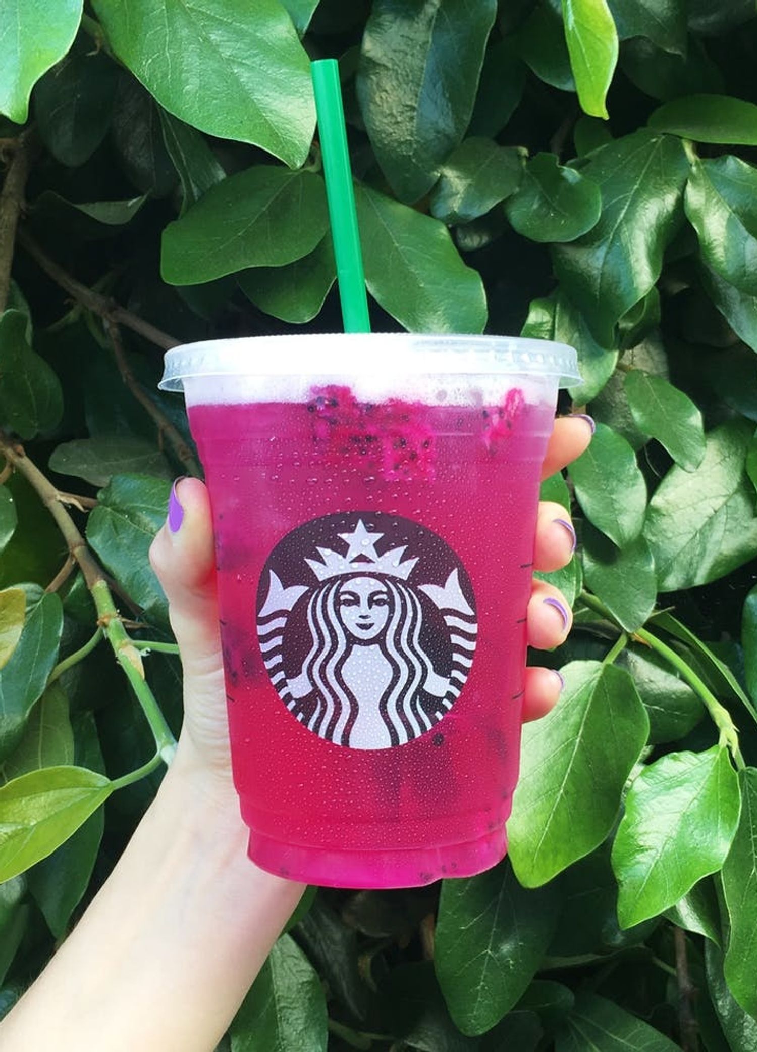 Starbucks Latest Refresher Will Make You Feel Like A Dragon Brit Co Starbucks Latest Refresher Will Make You Feel Like A Dragon Brit Co