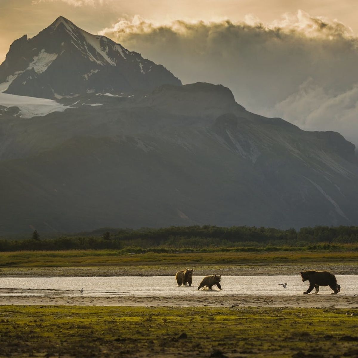 7 National Parks You Haven’t Heard Of But Should Absolutely Visit