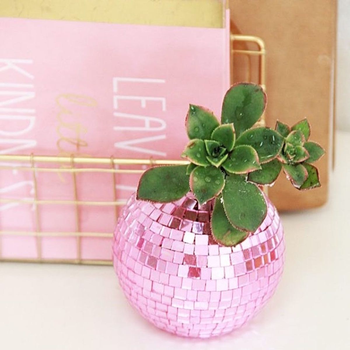 41 Creative DIY Planters to Make for Your Home