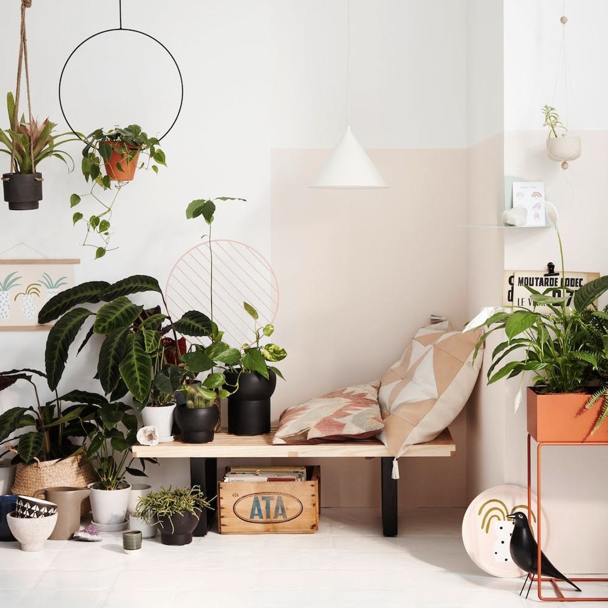 Lessons I Learned on My Path to Becoming a Plant Lady