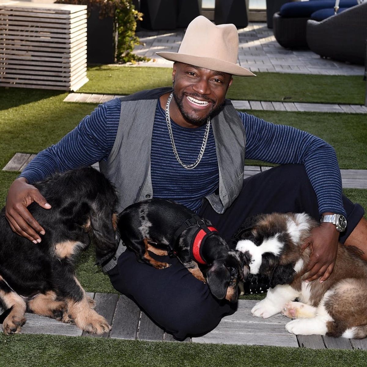 Watch Taye Diggs Play Puppy Matchmaker for Your Favorite Celebs