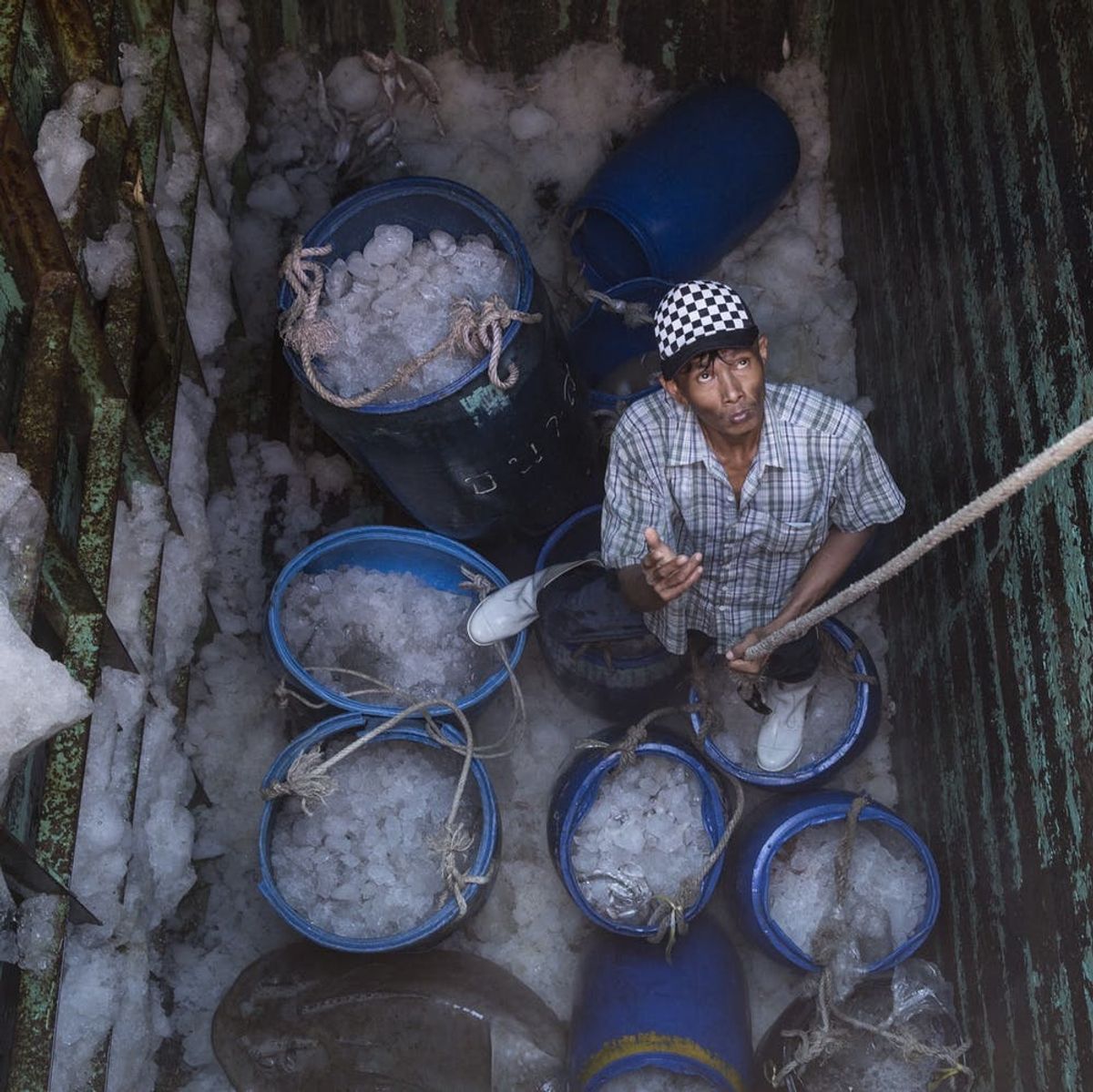 This New Database Shows if Your Seafood Was Caught Using Slave Labor