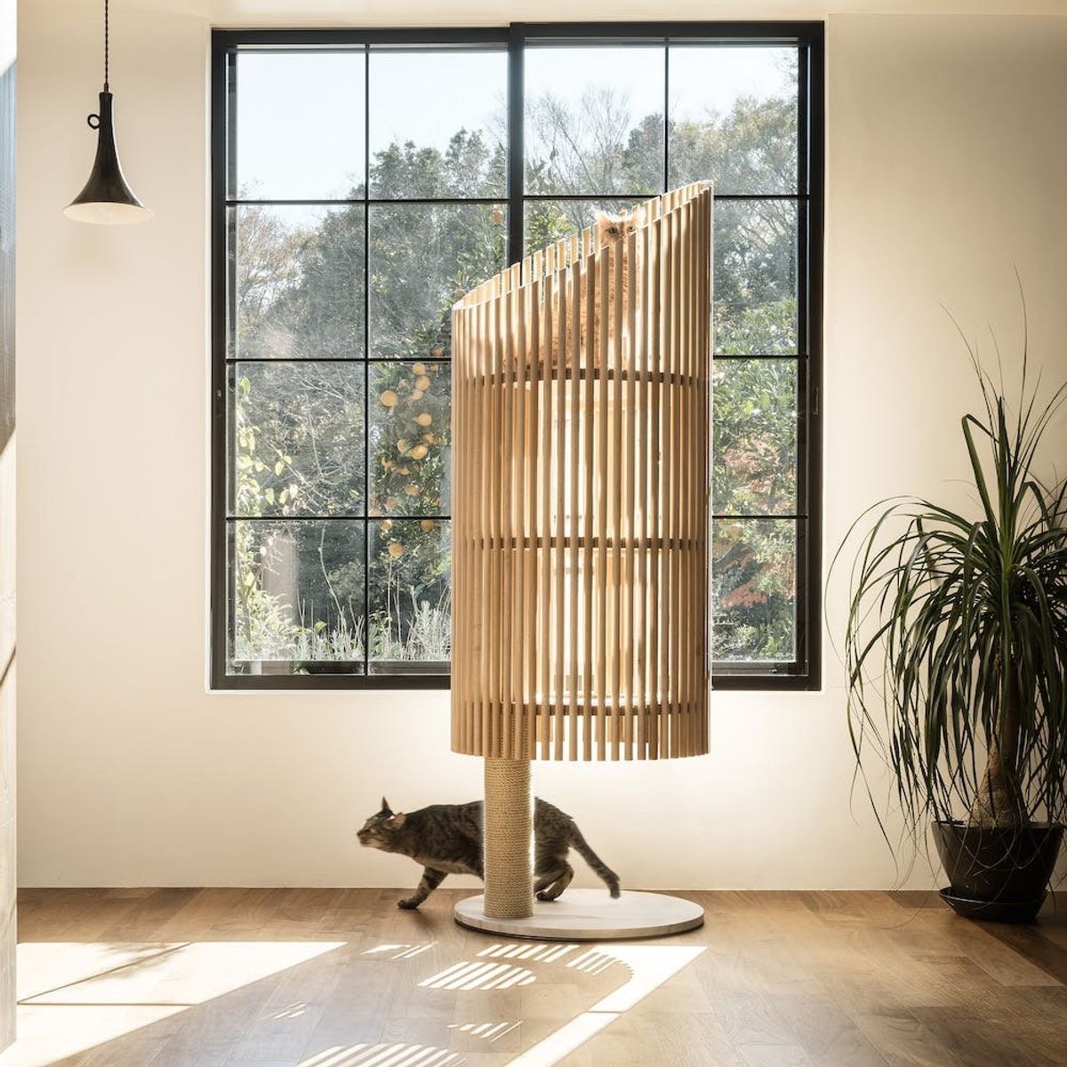 This Fancy Cat Tree Will Cost You $9,000