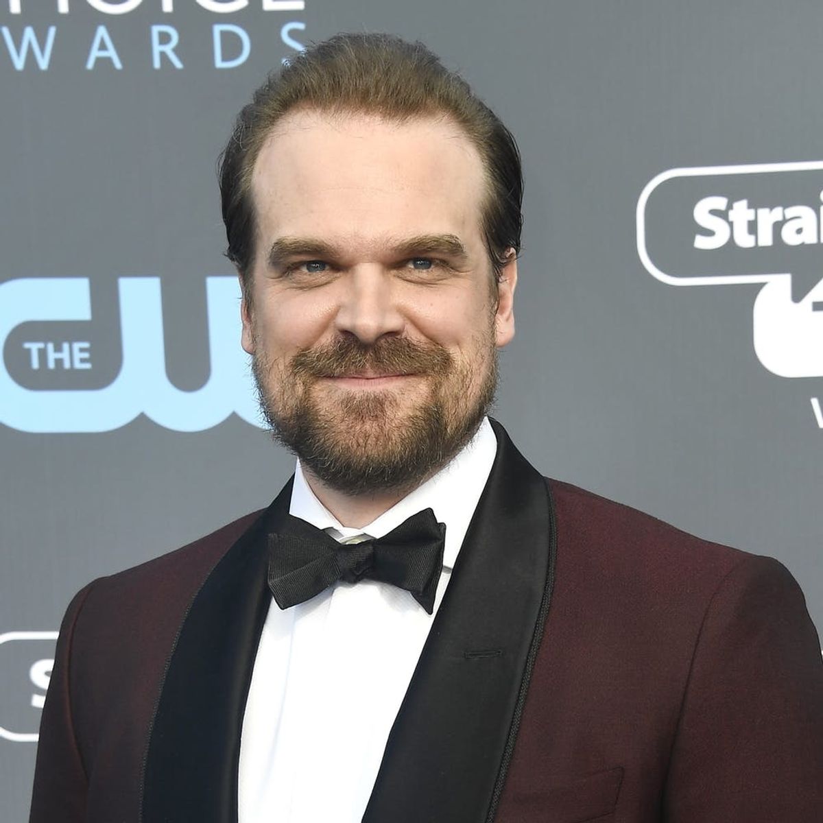 ‘Stranger Things’ Star David Harbour Will Officiate a Fan’s Wedding, Thanks to Twitter
