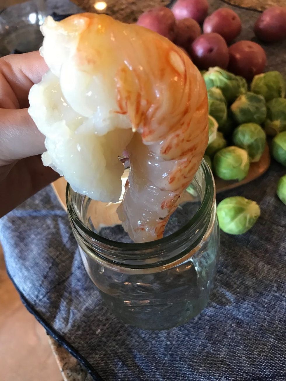 How to Cook an Entire Meal in Your Dishwasher Brit + Co