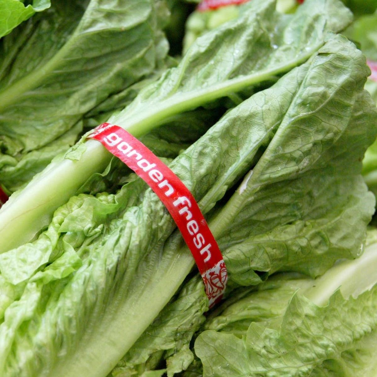 PSA: Romaine Lettuce Is Being Linked to E. Coli Outbreaks in 13 States