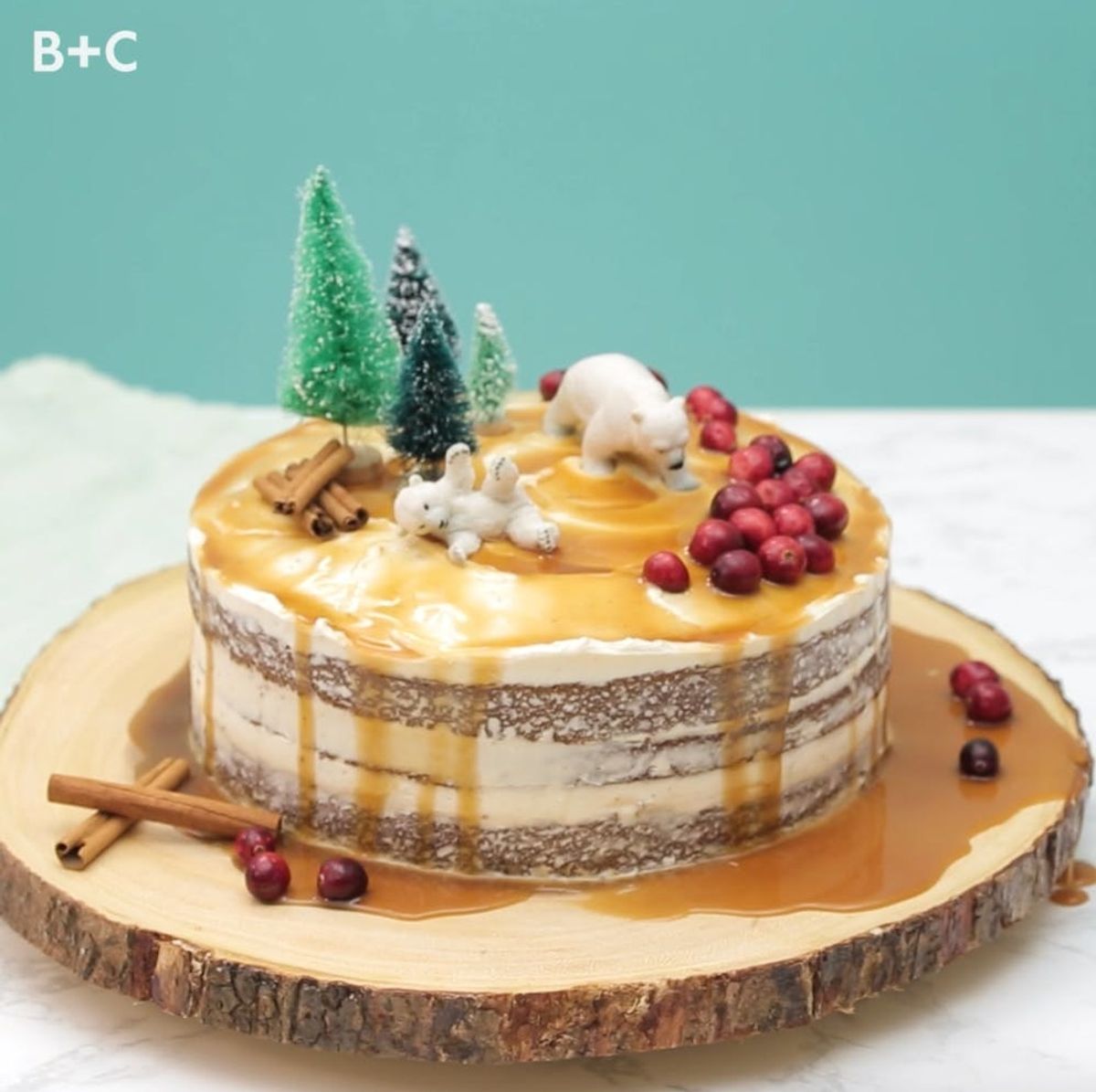 DIY Naked Applesauce Cake