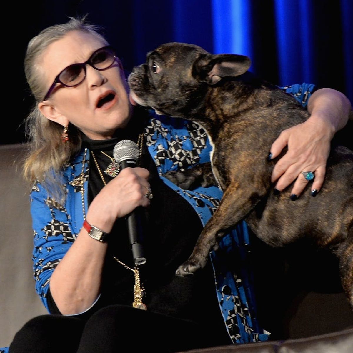 Carrie Fisher’s Dog Gary Is (Kind of) in “Star Wars: The Last Jedi”