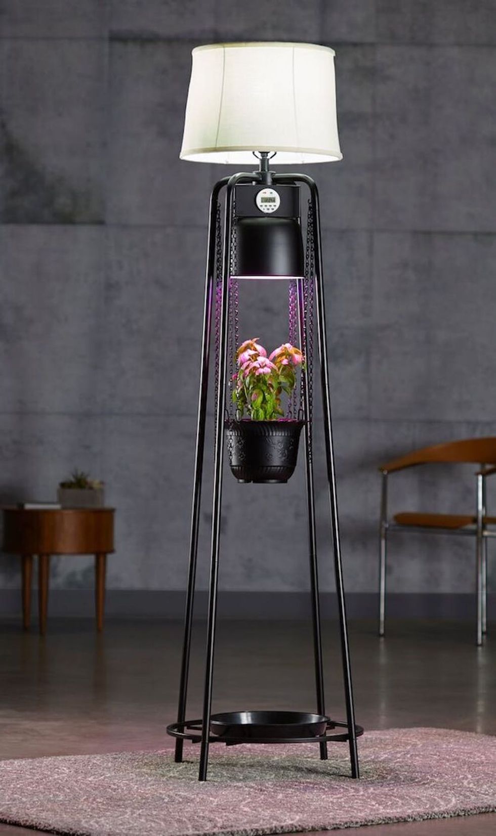 Unlock Lush Gardens This Lamp Revives Plants! Brit + Co