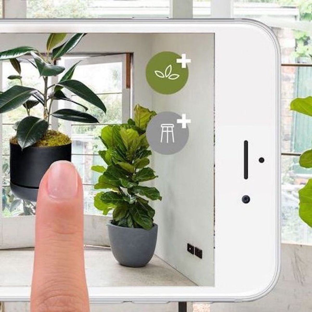 Use This Genius App Before You Buy Your Next Plant