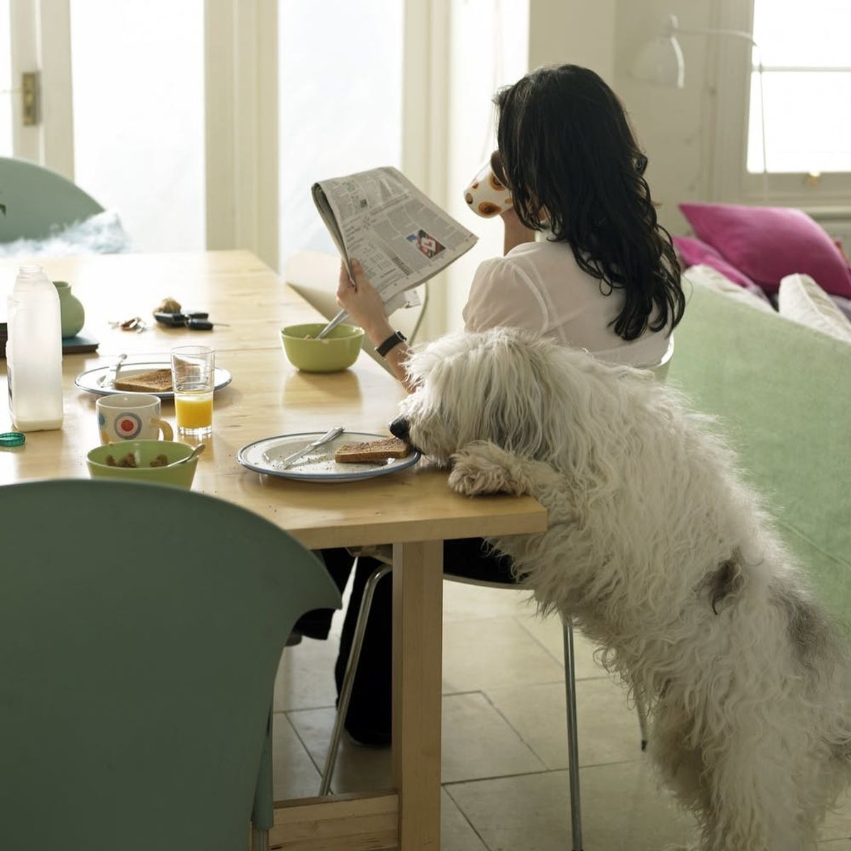 Joseph Gordon-Levitt Wants to Share Your Best Morning Routines