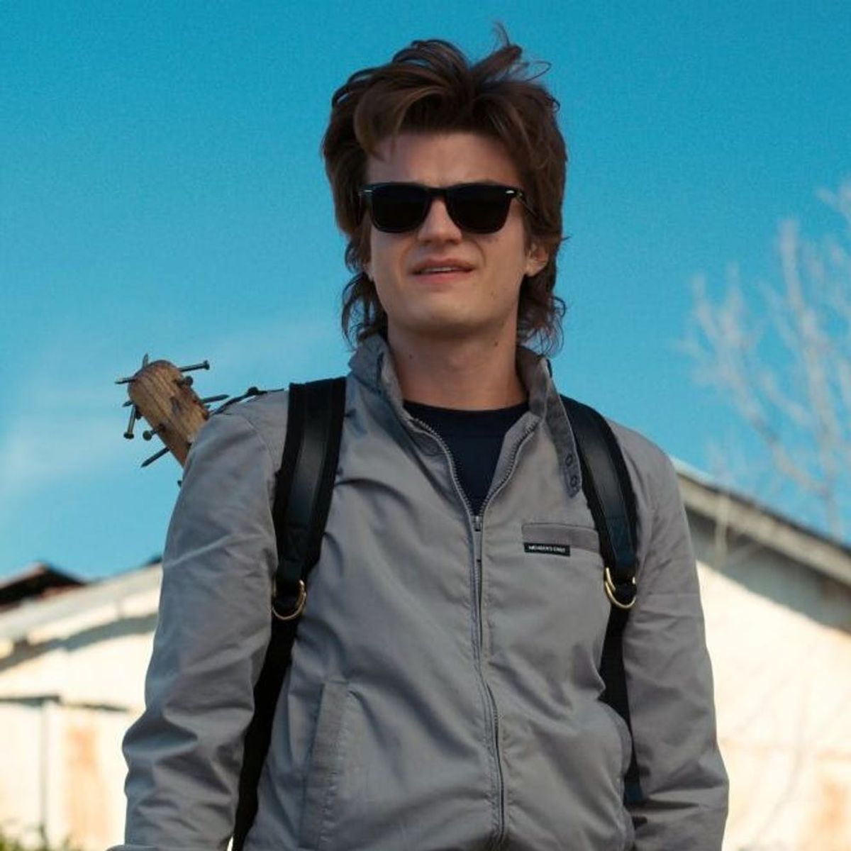 *THIS* Is the Actual Magic Product Behind Steve Harrington’s Glorious Hair