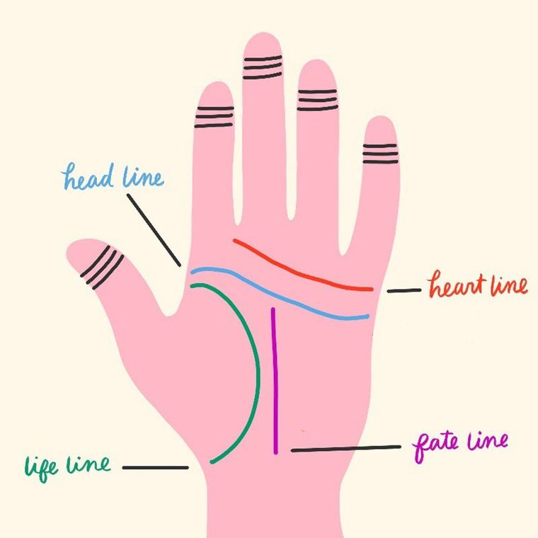 A Beginner's Guide to Palm Reading — Brit + Co - Brit + Co