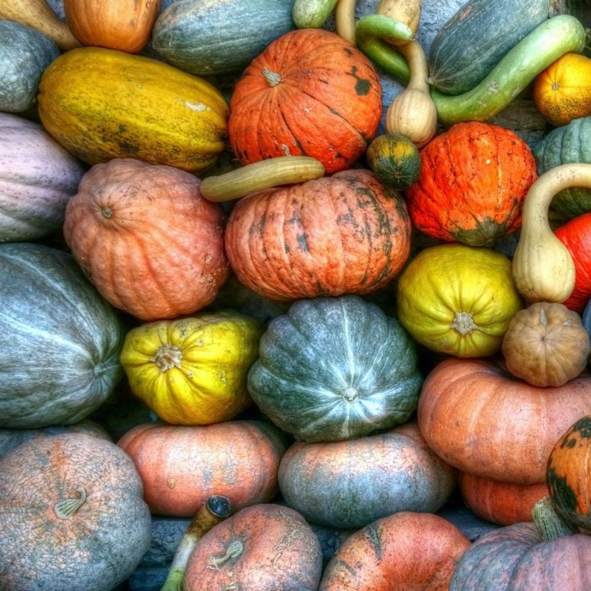 Your Seasonal Guide to Fall Produce