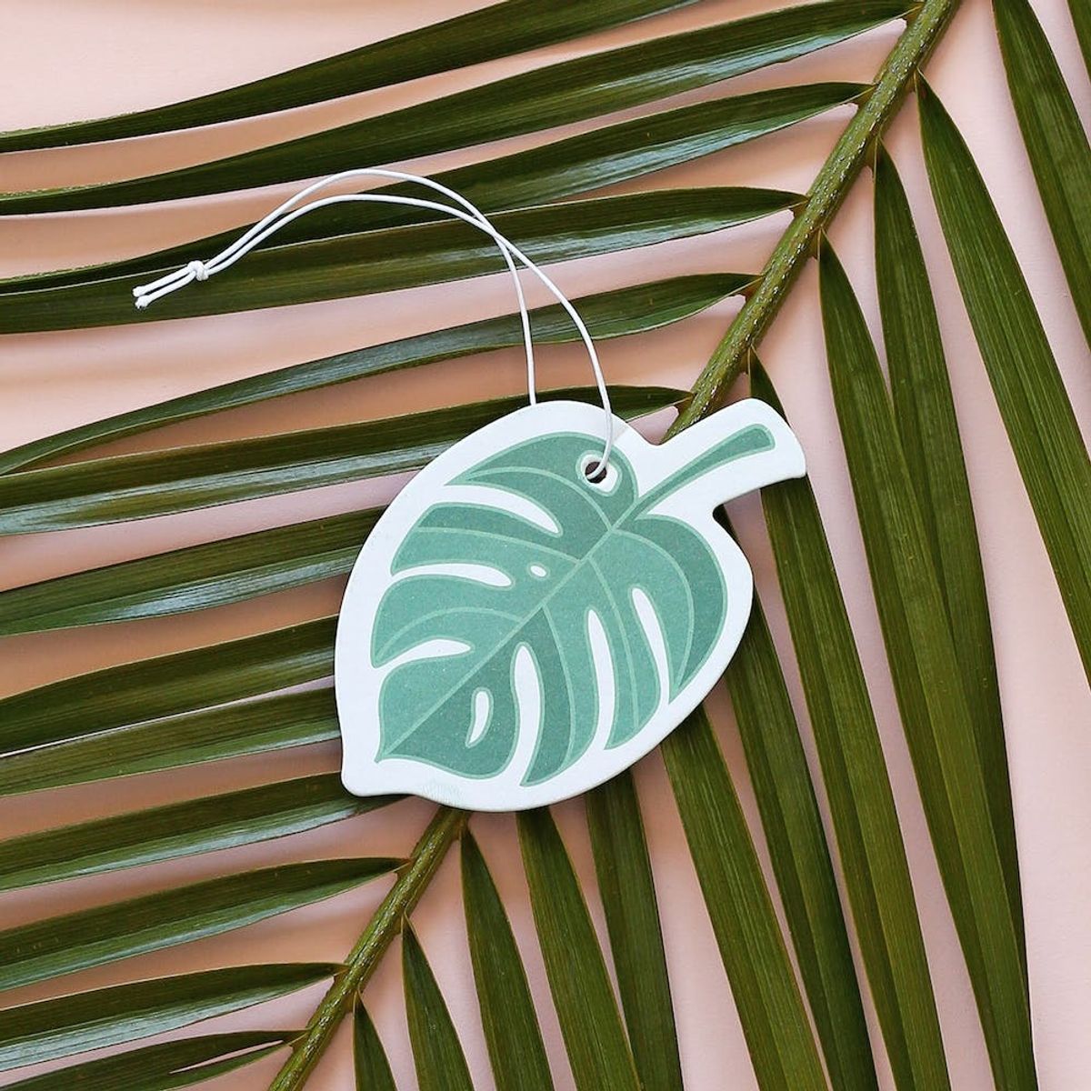 This Company Is Turning Out the Trendiest Air Fresheners EVER