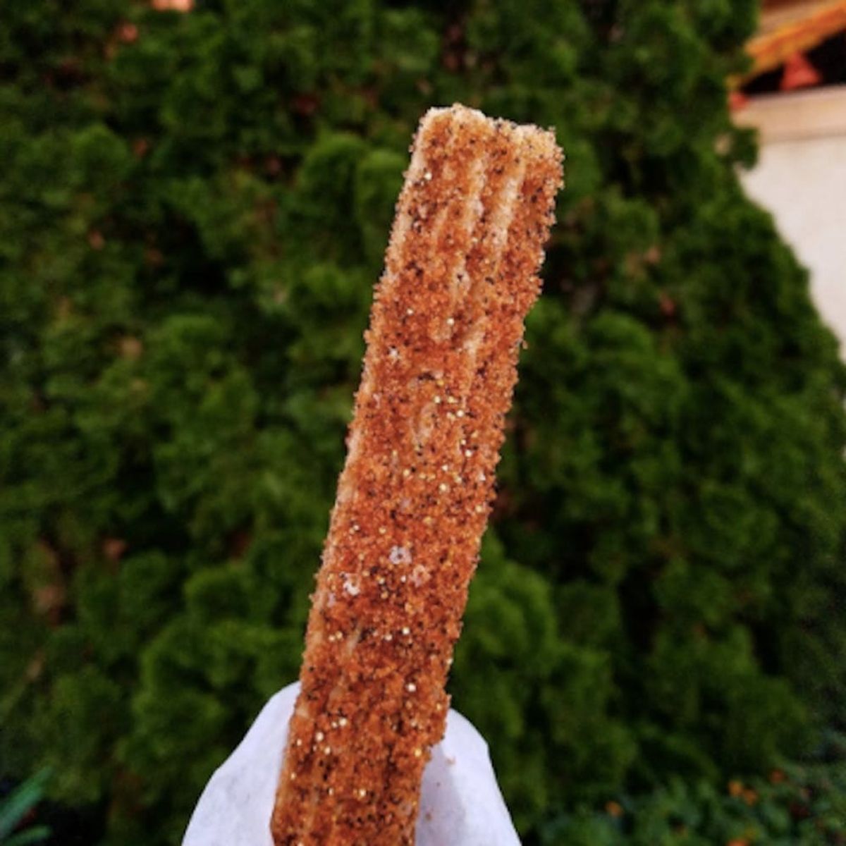 Disneyland Is Getting in on the Pumpkin Craze With Pumpkin Churros