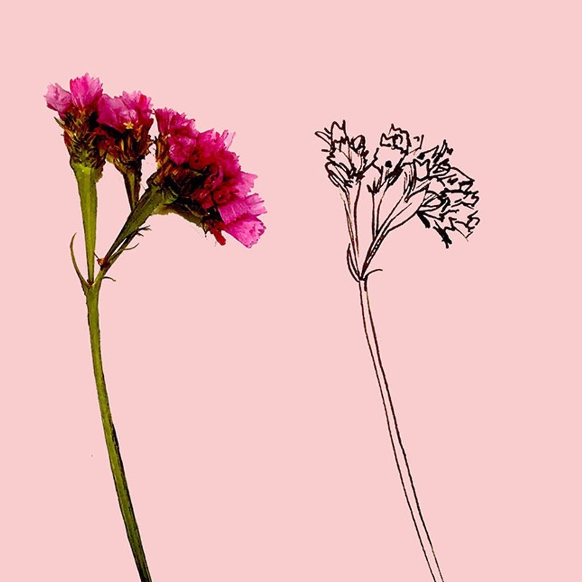 Learn How to Draw Any Wildflower in 5 Easy Steps