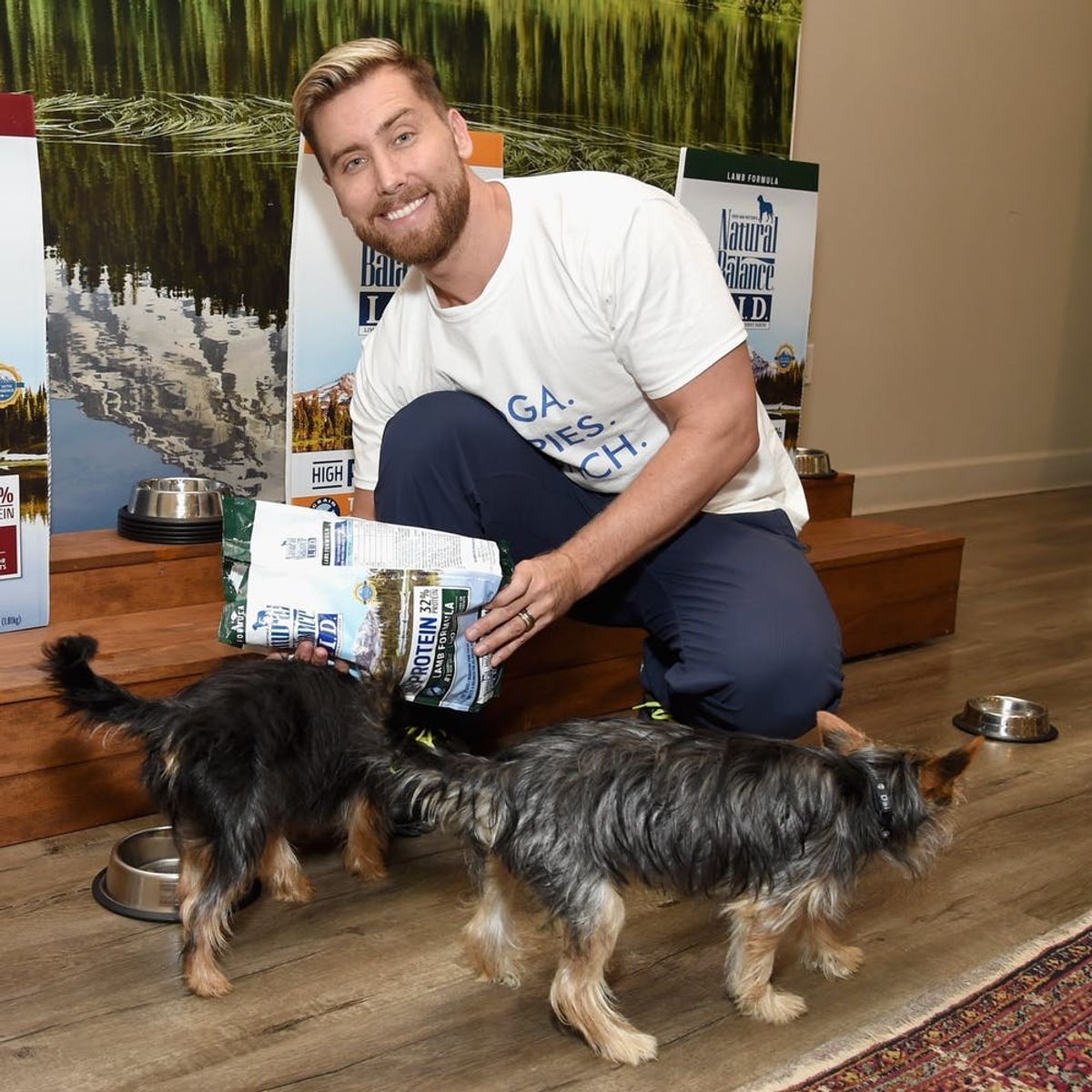 Lance Bass Is Calling for an *NSYNC Reunion… But Not How You Think