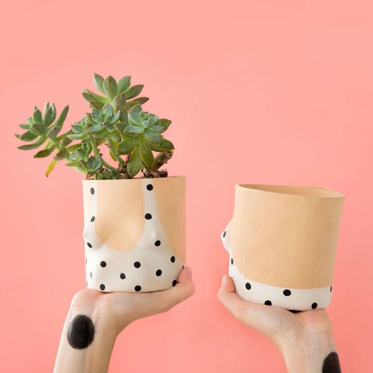 12 Gift Ideas for the Plant Lover in Your Life