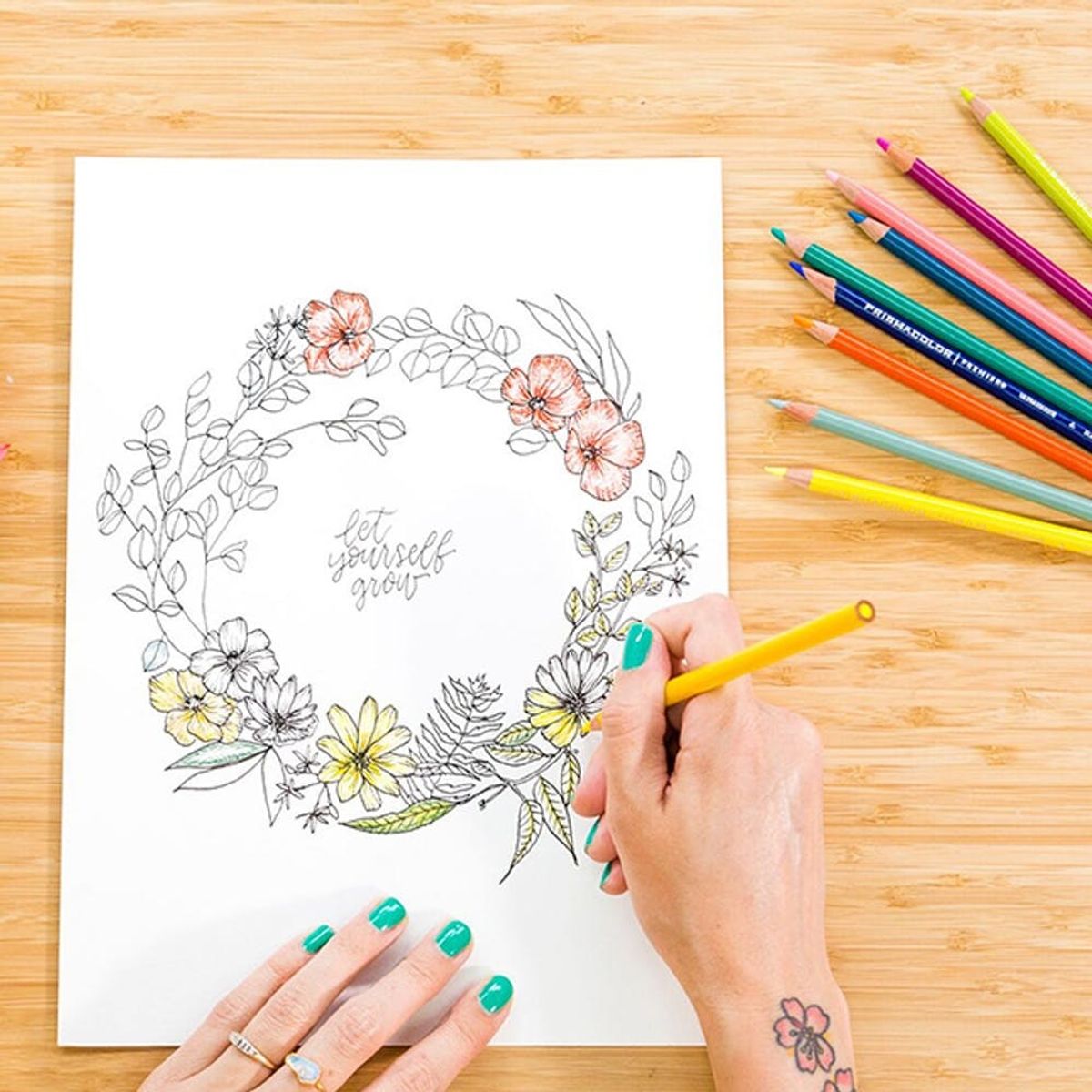 Learn How to Draw Florals in our New Online Class with Peggy Dean