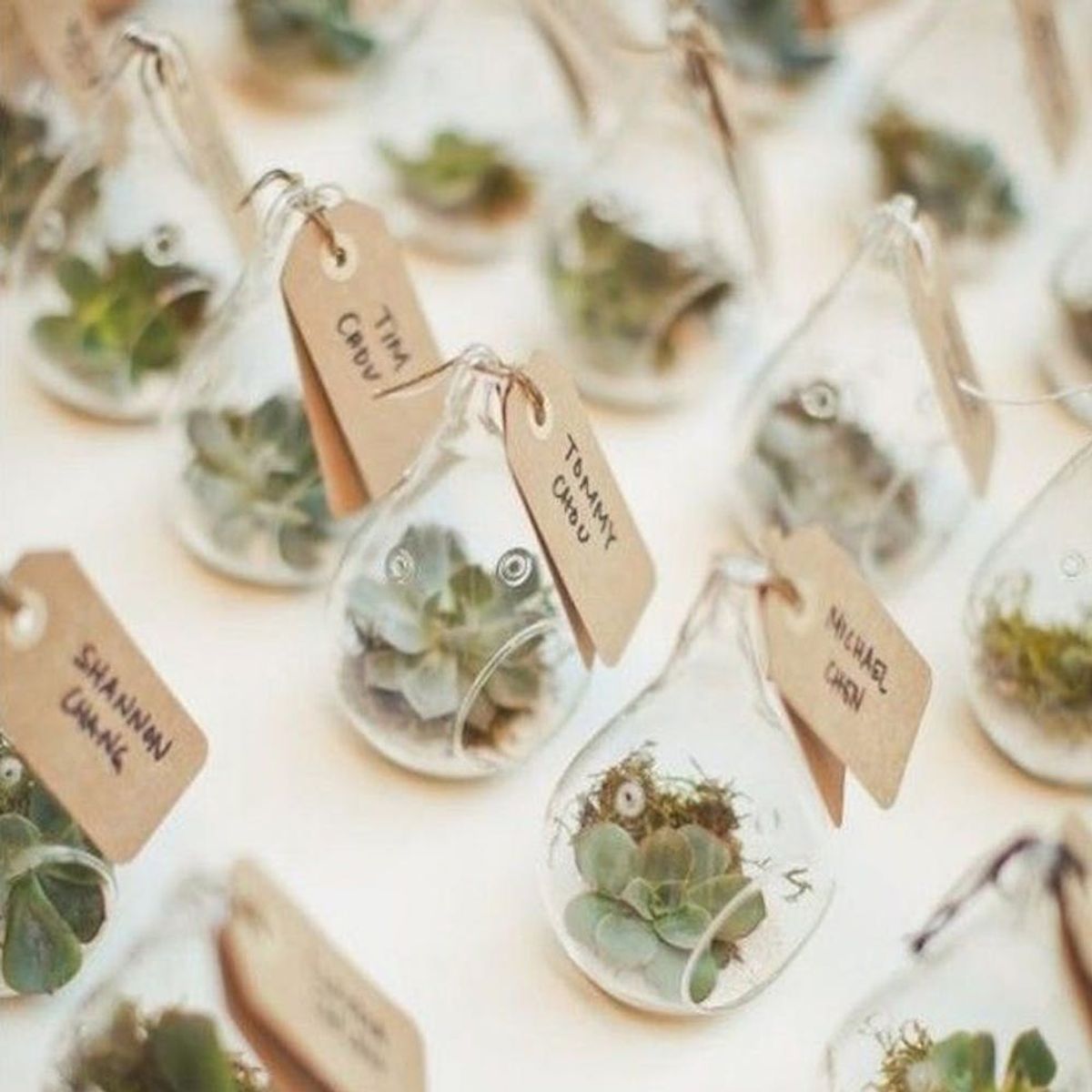14 Botanical Wedding Favors for Your Greenery-Themed Wedding