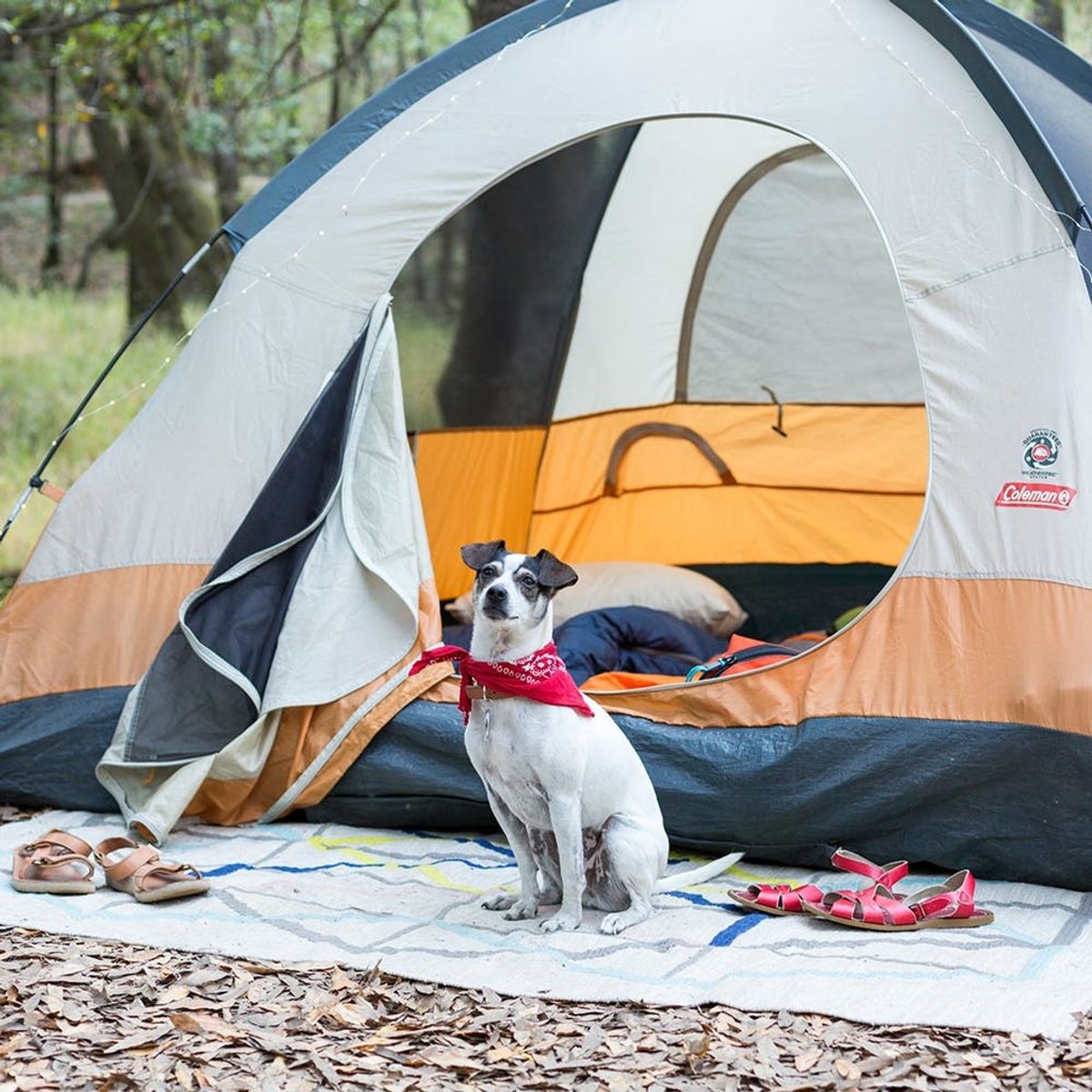 How to Have the Ultimate Girls Weekend Camping Trip
