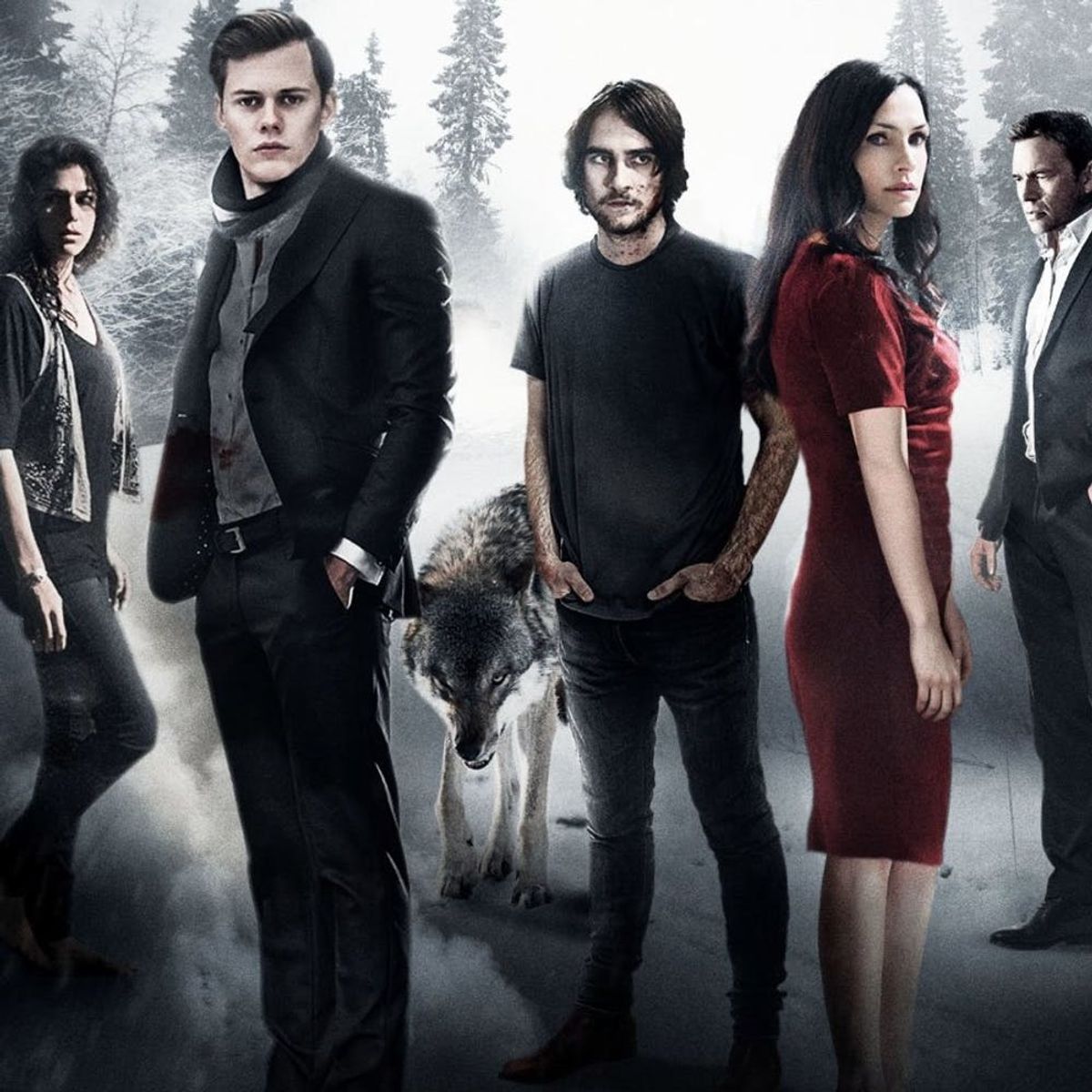 Here Are the Netflix Shows That Will Be Joining Girlboss’s Canceled Status