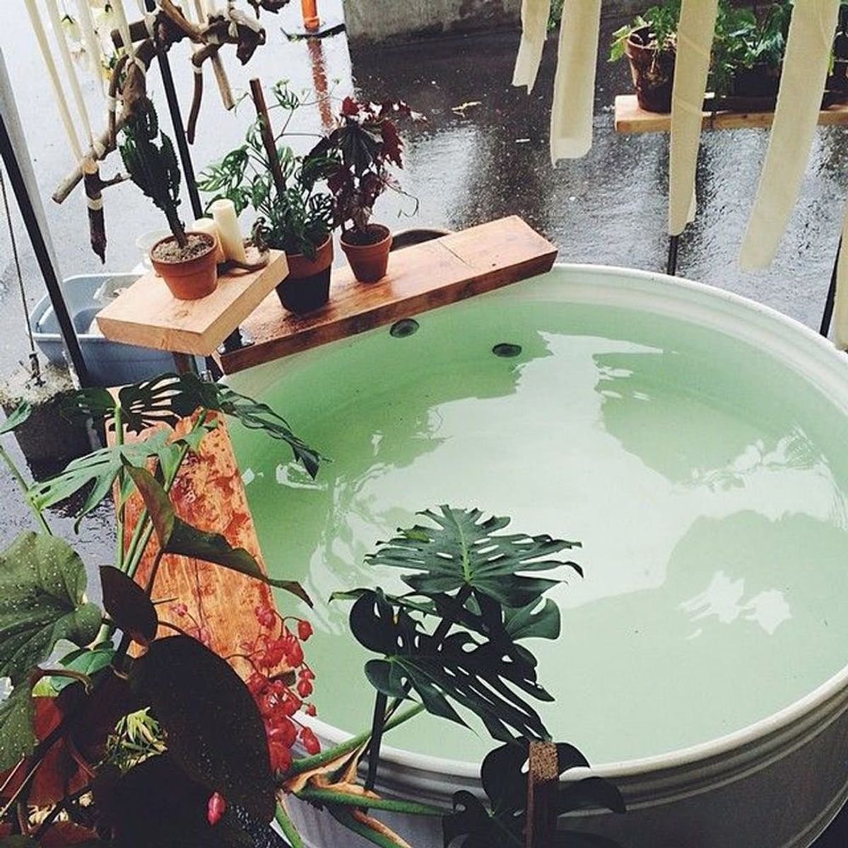 Stock Tank Pools Are the Coolest (and Cheapest!) Way to Beat the Heat This Summer