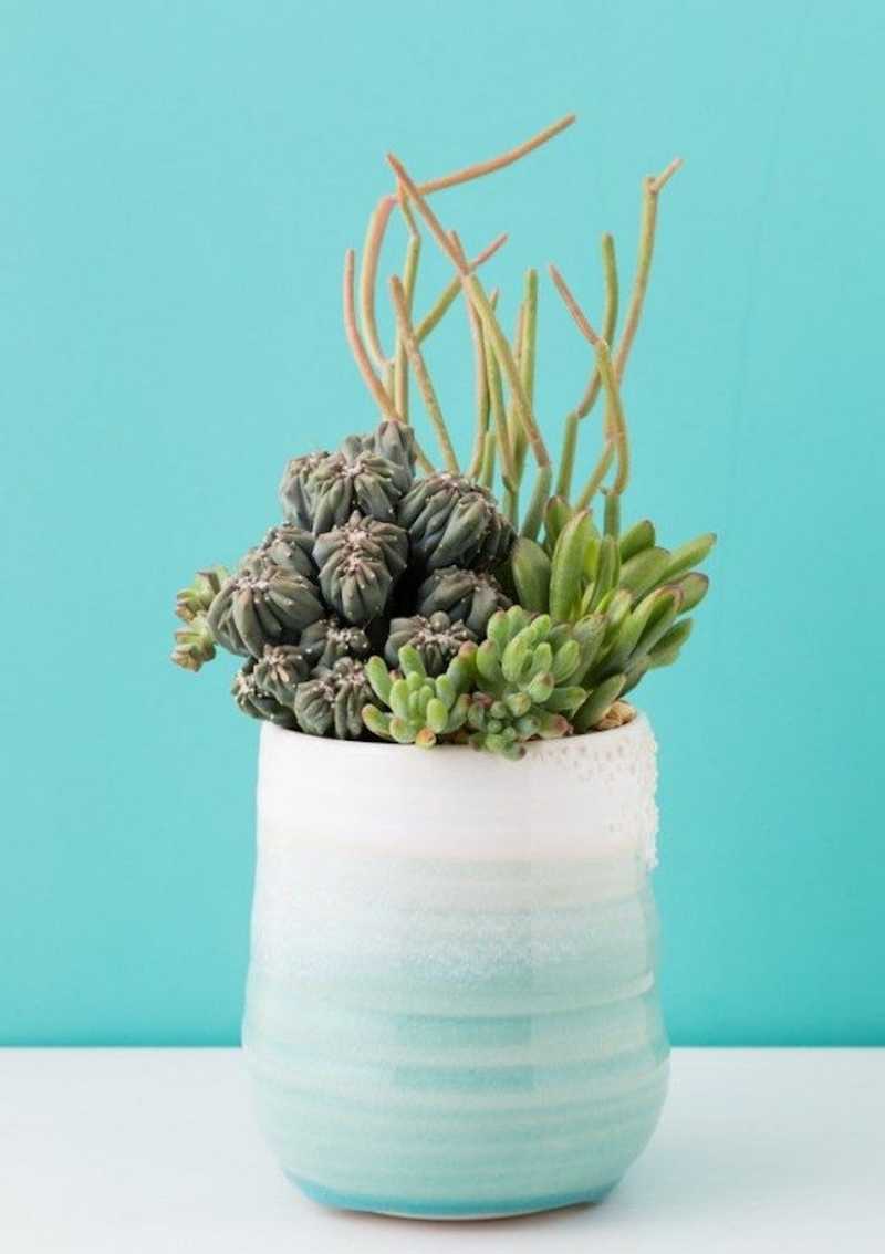 plant holder hanger Macrame Hanging Planter with Wood Base Natural