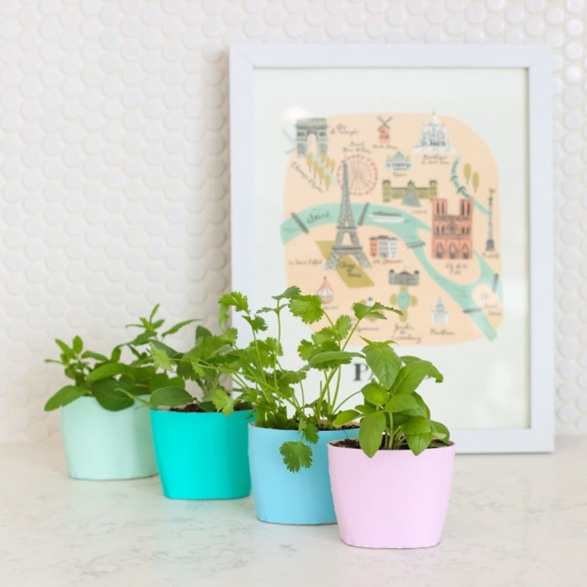 25 Ways to Start an Indoor Herb Garden