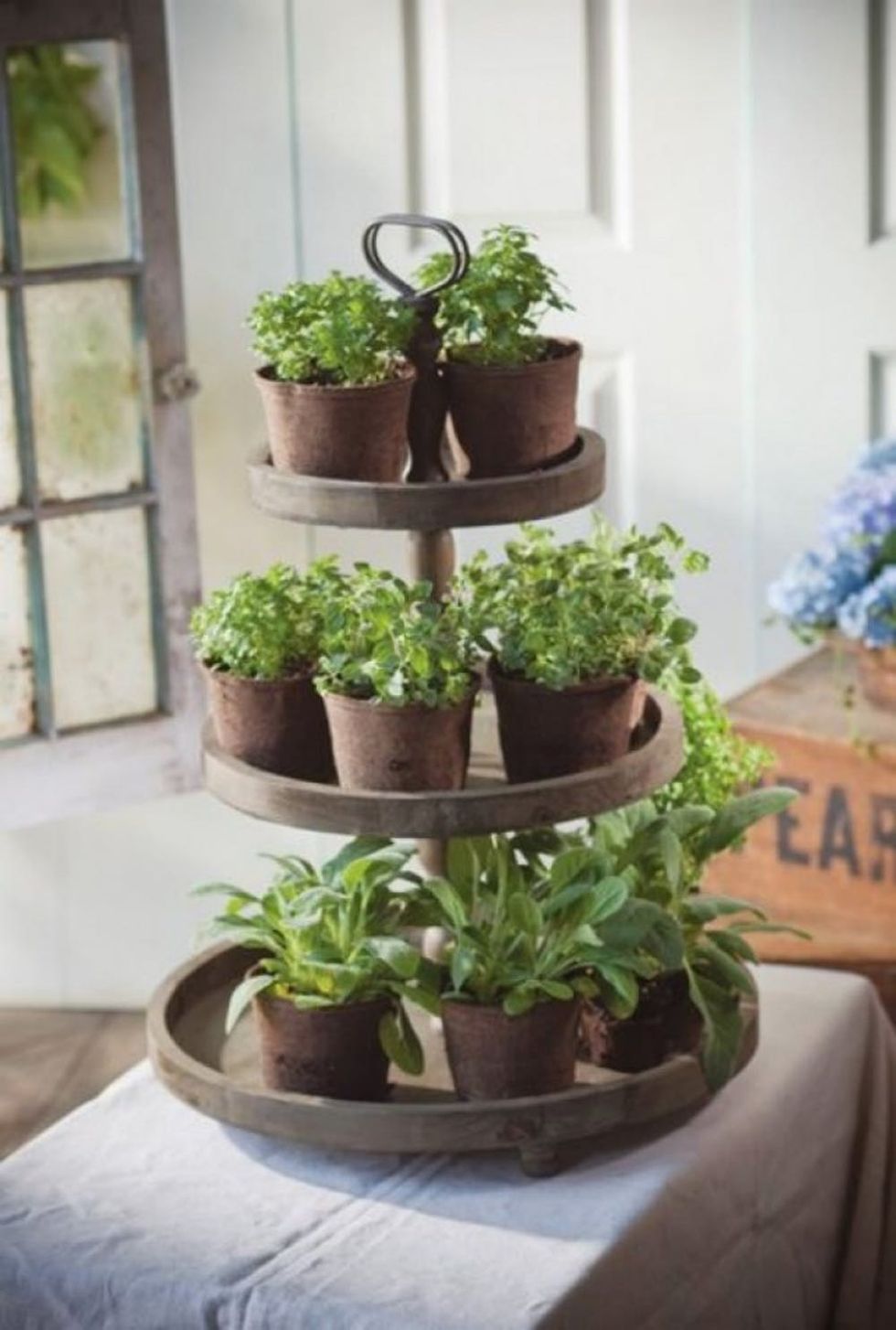 25 Ways to Start an Indoor Herb Garden Brit + Co