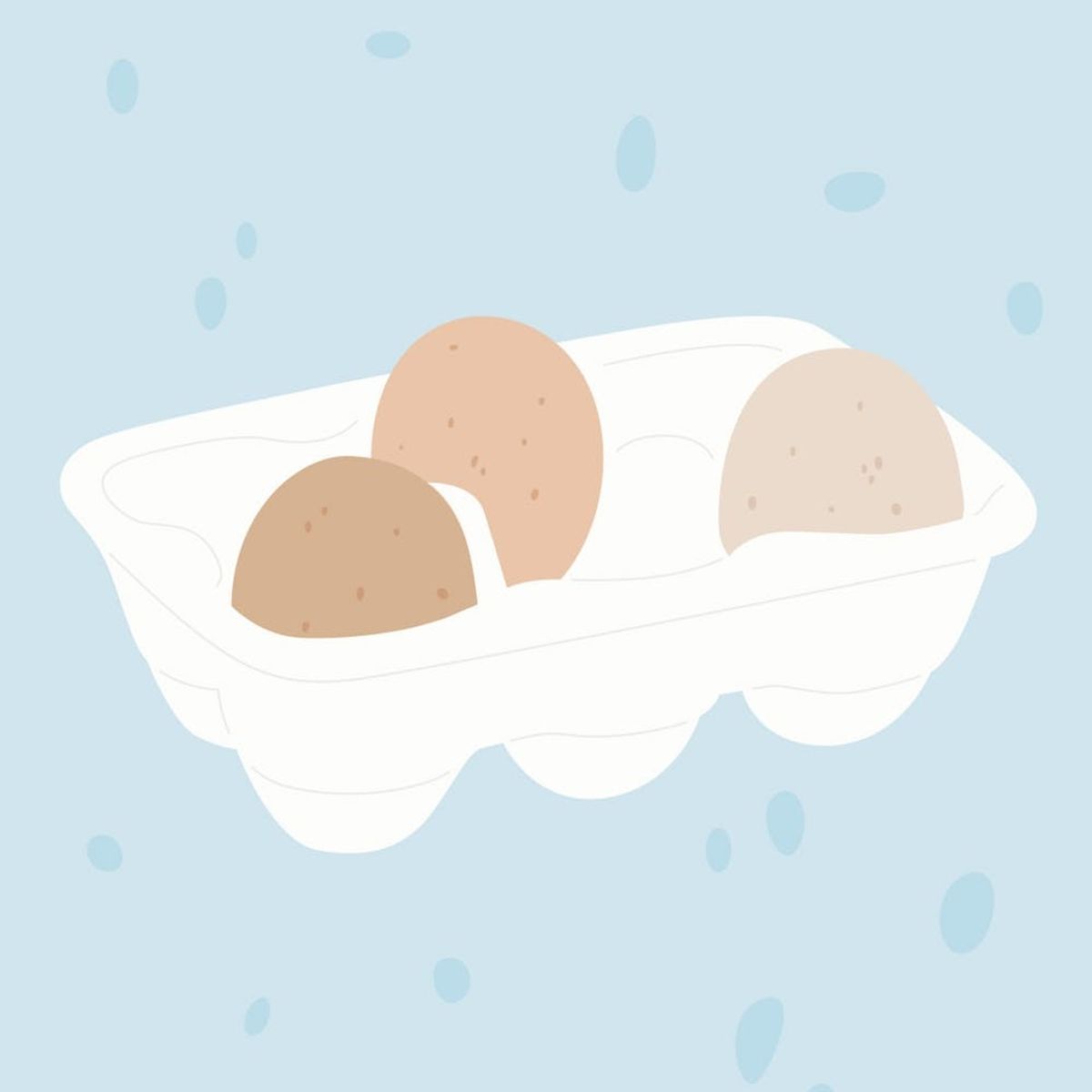 The Egg-cellent New Vid Answers the Question: How Long Will Your Eggs Last in the Fridge?