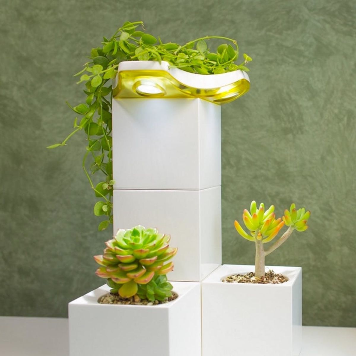 This Lego-Like Planter Is Just What Your Indoor Garden Needs