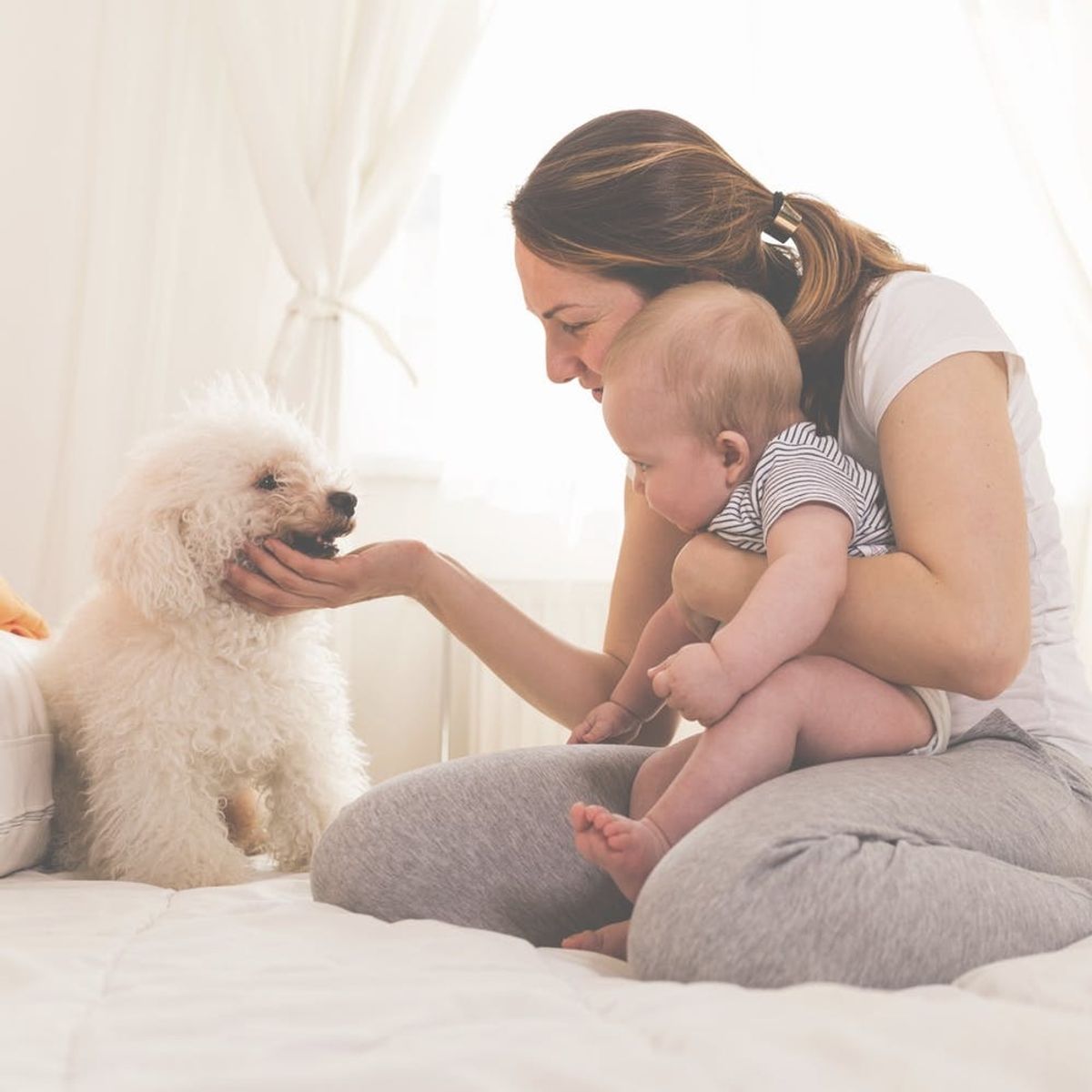 Having a Pet Could Make Your Baby Healthier